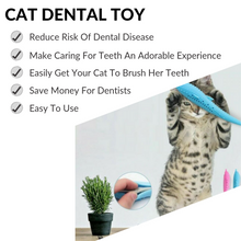Load image into Gallery viewer, Cat Dental Toy | prevent oral disease