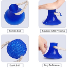 Load image into Gallery viewer, Multifunction Pet Bite Toy | brush teeth while playing