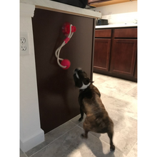 Load image into Gallery viewer, Multifunction Pet Bite Toy | brush teeth while playing