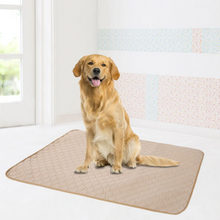 Load image into Gallery viewer, Reusable Pee Pad | reusable to consistenly protect your floor