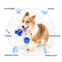 Load image into Gallery viewer, Multifunction Pet Bite Toy | brush teeth while playing

