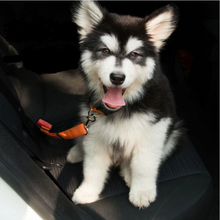 Load image into Gallery viewer, Car Seat Belt | keep your dog and yourself secure
