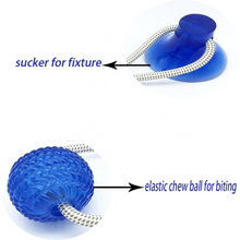 Load image into Gallery viewer, Multifunction Pet Bite Toy | brush teeth while playing
