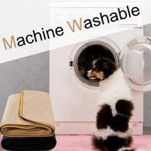 Load image into Gallery viewer, Reusable Pee Pad | reusable to consistenly protect your floor
