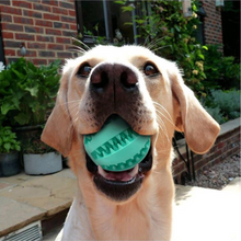 Load image into Gallery viewer, Dog Food Ball | let your dog play while eating
