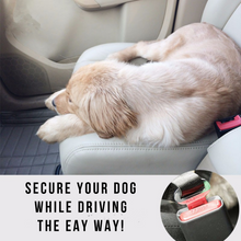 Load image into Gallery viewer, Car Seat Belt | keep your dog and yourself secure
