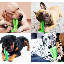 Load image into Gallery viewer, Dog Toothbrush Stick | prevent oral disease
