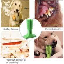Load image into Gallery viewer, Dog Toothbrush Stick | prevent oral disease
