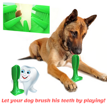Load image into Gallery viewer, Dog Toothbrush Stick | prevent oral disease
